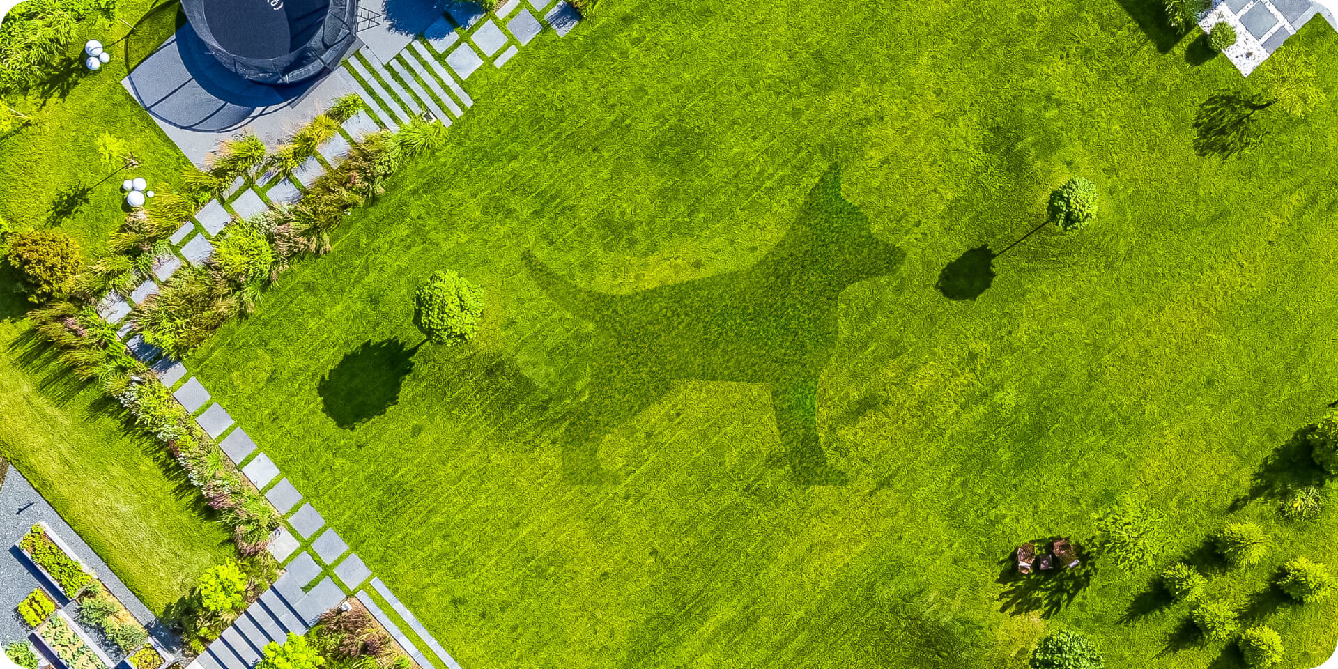 Segway Navimow i110N robot lawn mower mowed a dog shape.