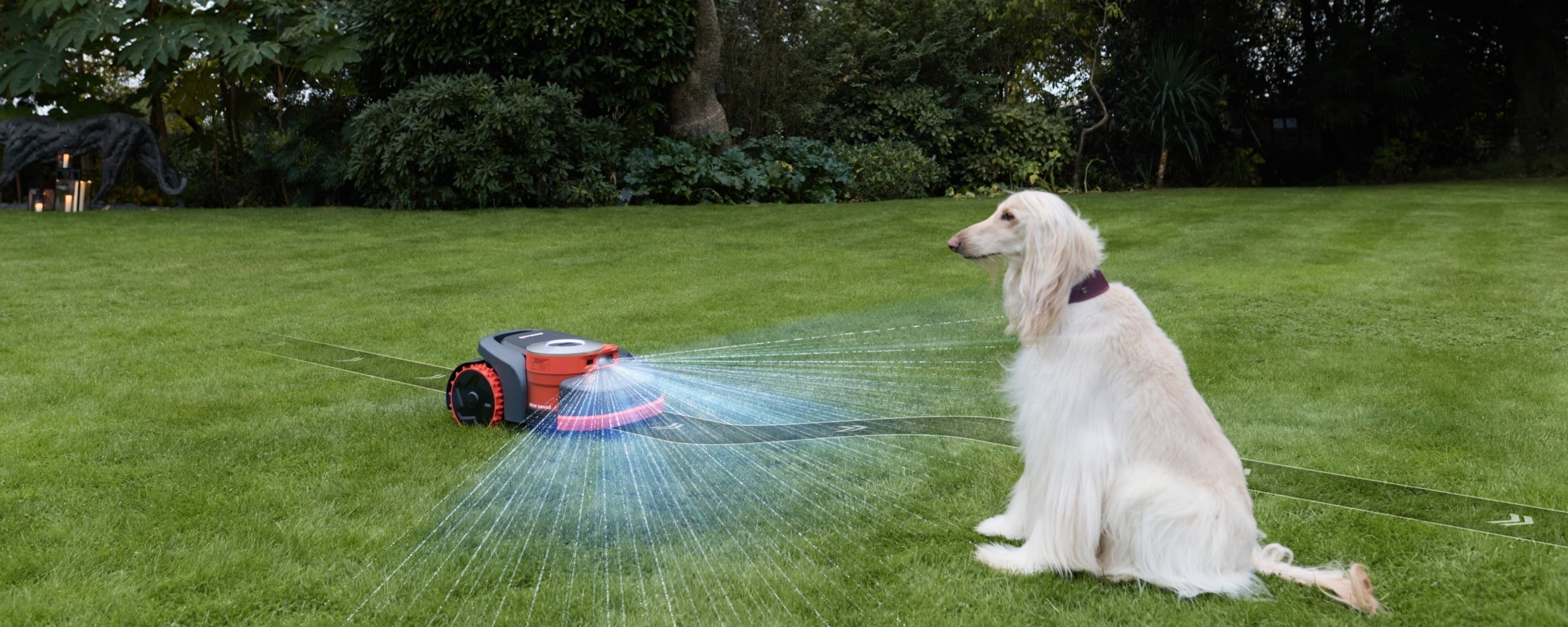 Navimow i110 robot lawn mower on grass next to dog.