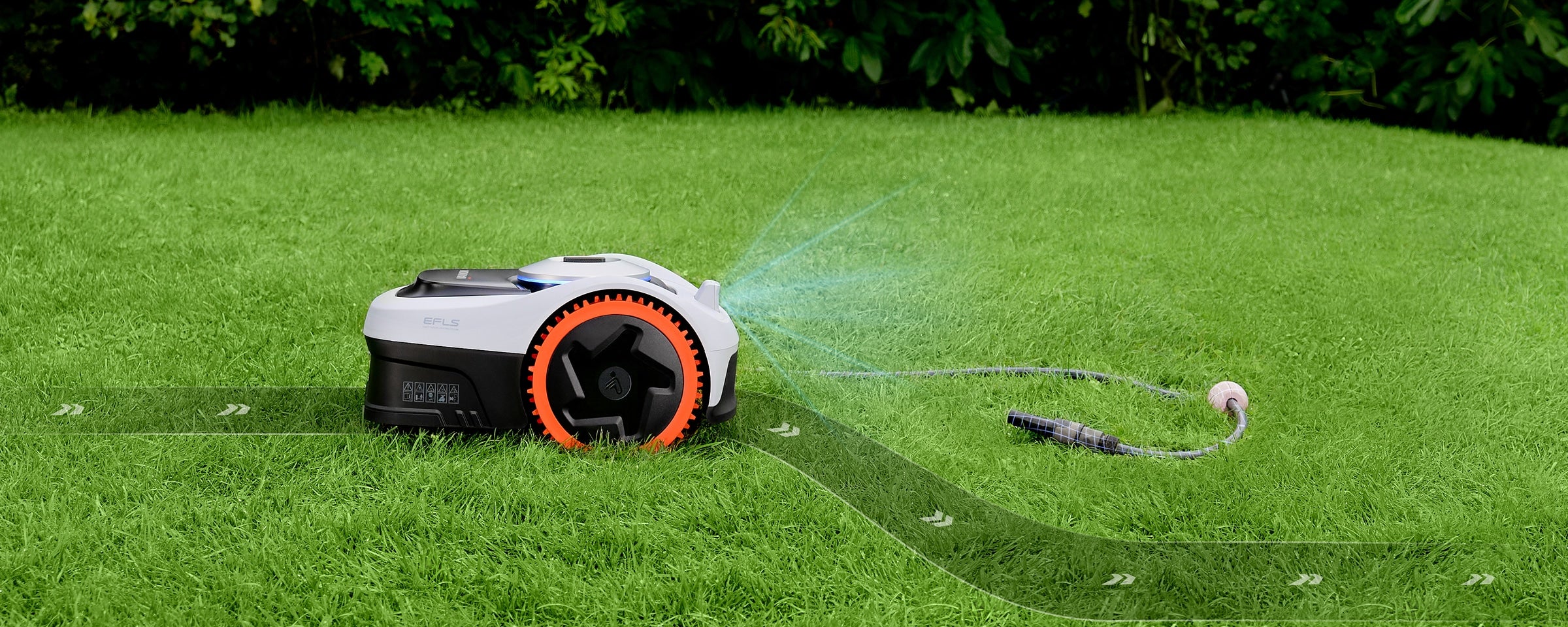 Navimow i105E robot lawn mower avoids garden hose on grass.