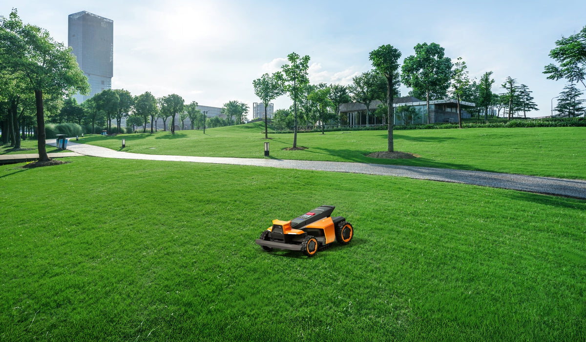 Segway Navimow i110N robot lawn mower on a green lawn.