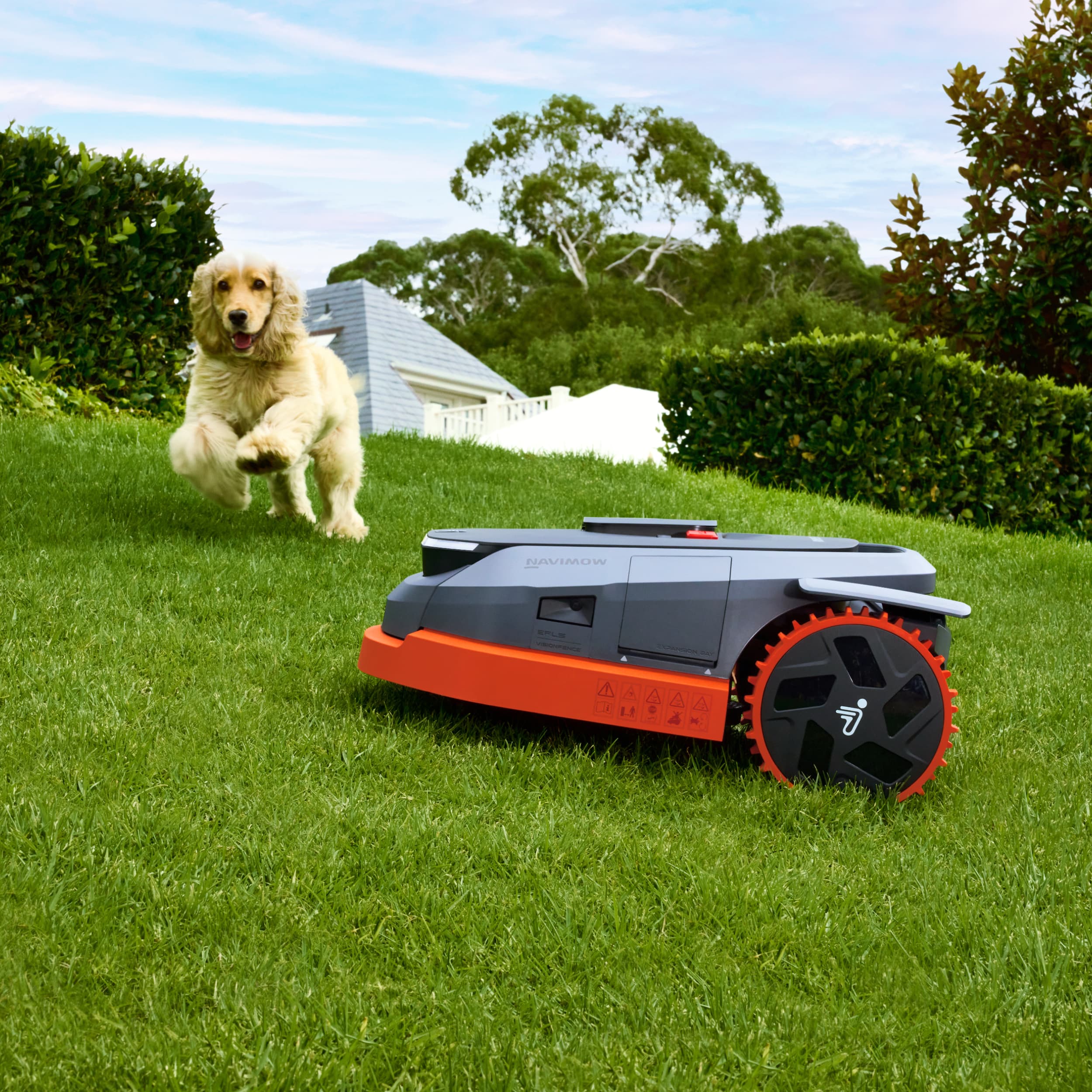 Navimow i110E robot lawn mower with a dog on grass.