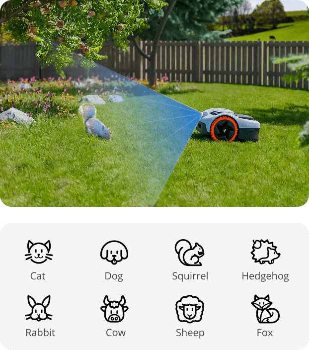 Navimow i110N robot lawn mower detects a squirrel in grass.