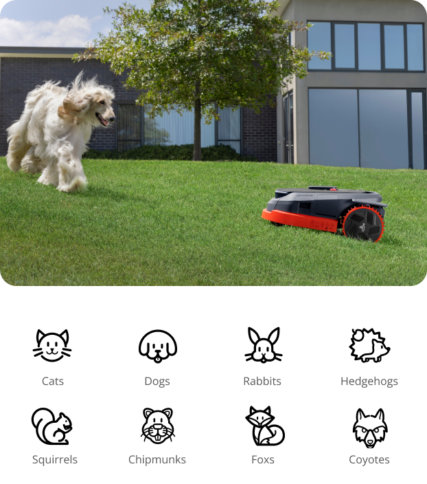 Navimow i110N robot lawn mower avoids a dog on grass.