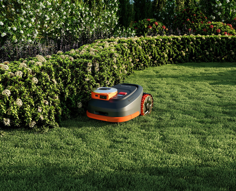 Segway Navimow i110N robot lawn mower mows the green grass.