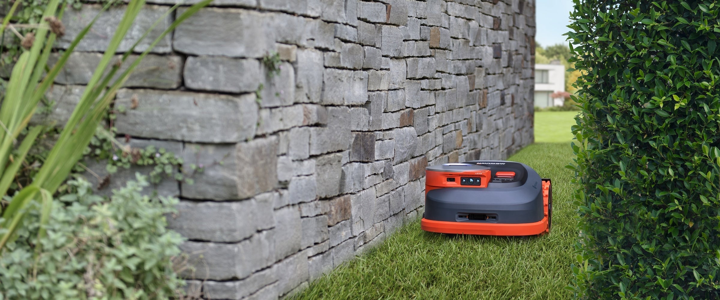 Navimow i105E robot lawn mower mows grass by a wall.