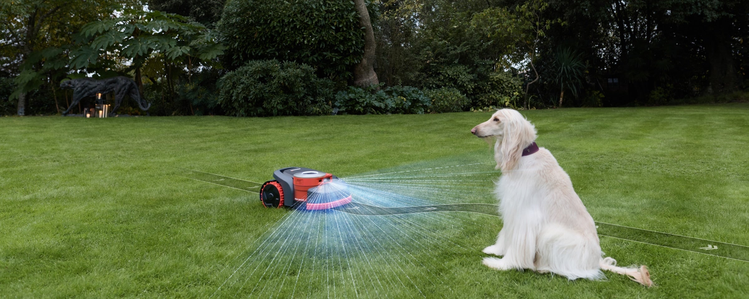 Navimow i Series robot lawn mower mows grass near dog.