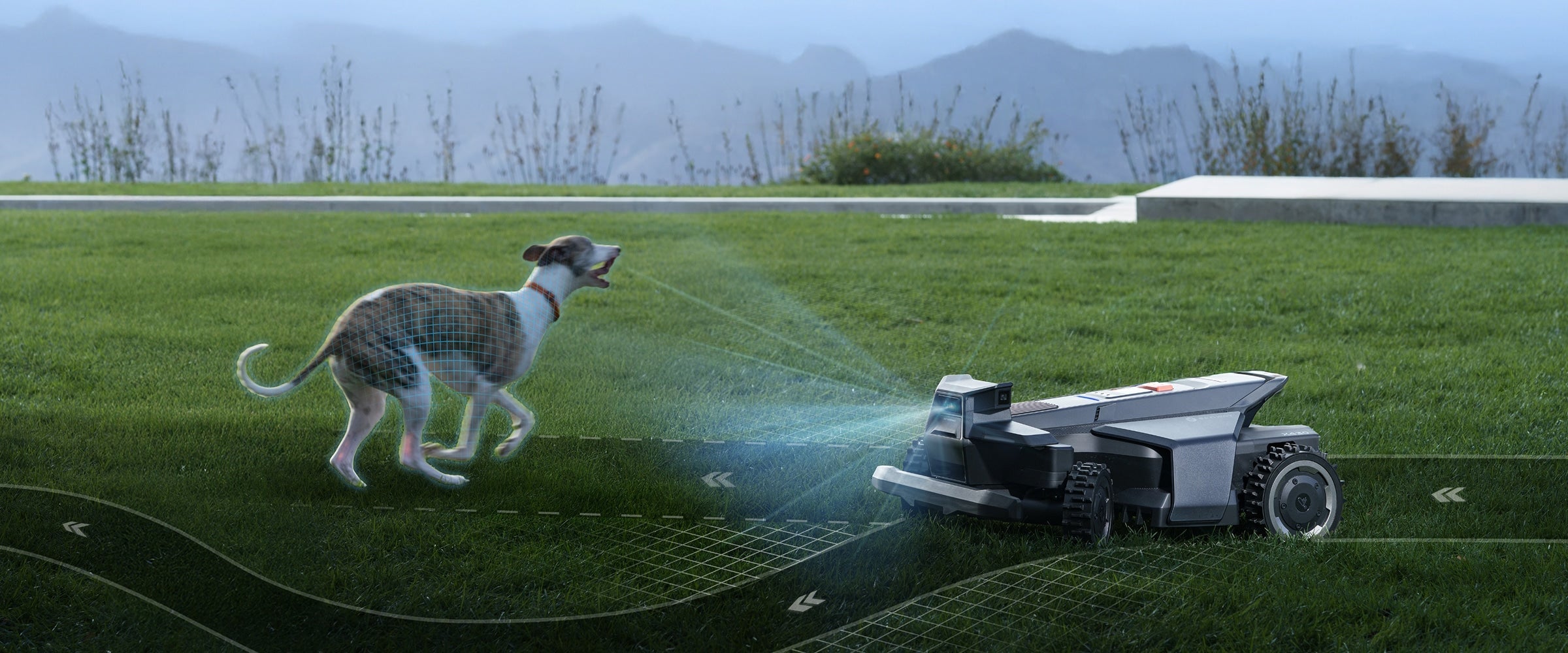 Navimow i110N robot lawn mower detects a dog on grass.