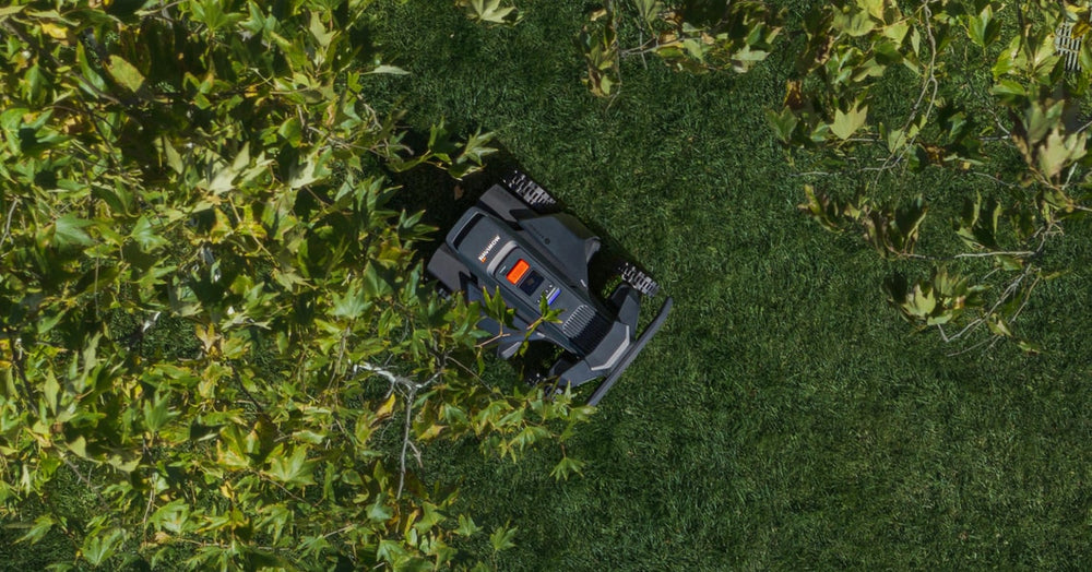 The Navimow i110N robot lawn mower mows grass under trees.