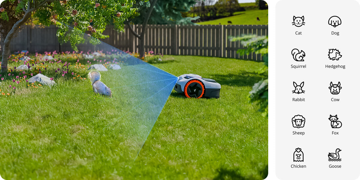 Segway Navimow i Series robot lawn mower detects a squirrel.