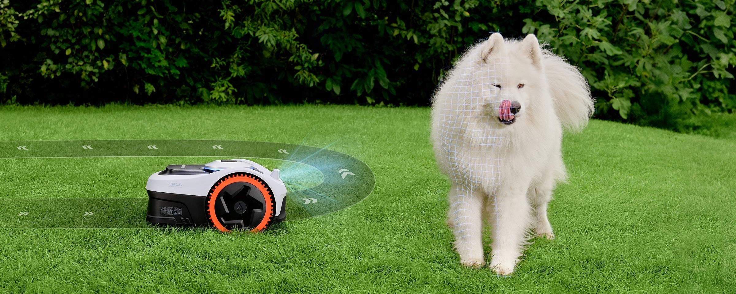 Navimow i110N robot lawn mower detects a large white dog.