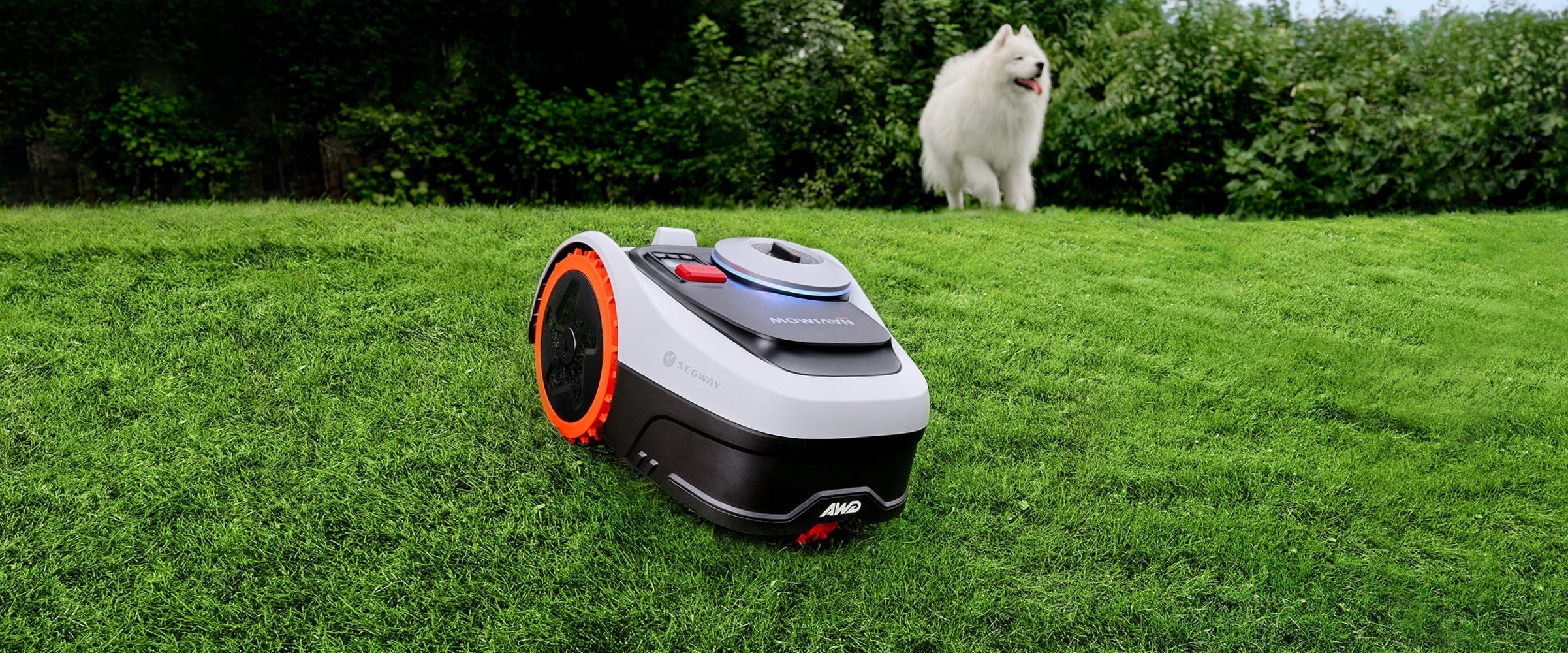 Segway Navimow X3 robot lawn mower and a white dog.
