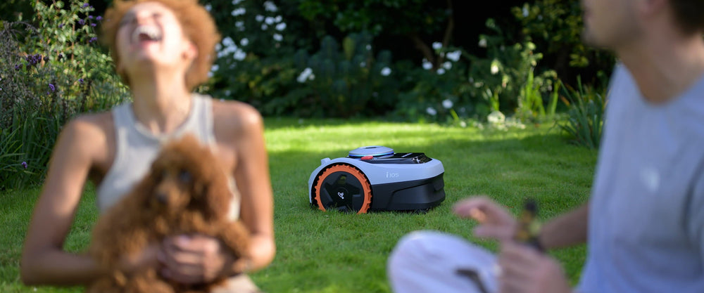Navimow i105 robot lawn mower on grass in the backyard.