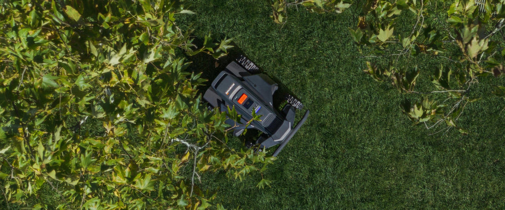 Navimow i110E robot lawn mower mows green grass under trees.