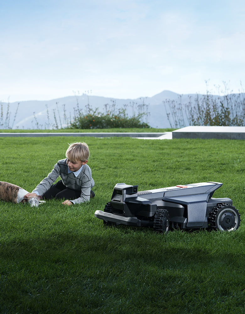 Segway Navimow i110E robot lawn mower on the green grass.